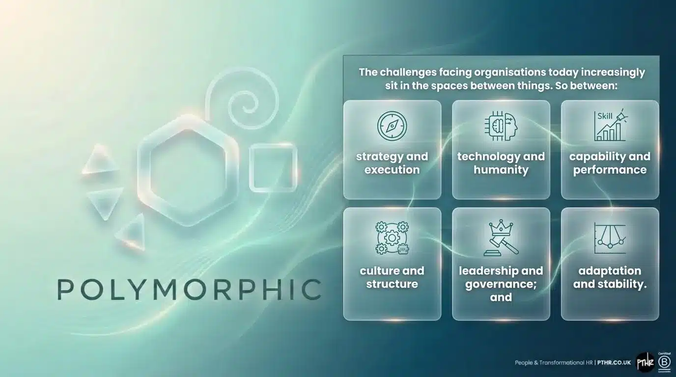The Polymorphic Organisation — the challenges facing organisations sit in the spaces between strategy and execution, technology and humanity, capability and performance, culture and structure, leadership and governance, and adaptation and stability.